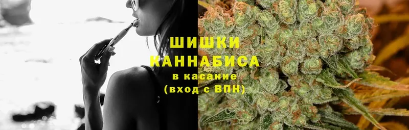 Каннабис план  что такое наркотик  mega как зайти  Лысьва 